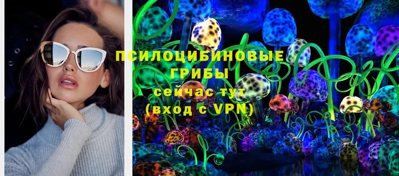 Псилоцибиновые грибы Magic Shrooms  Верхнеуральск 